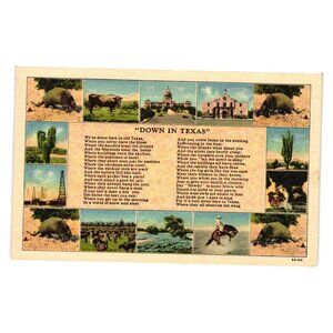 Vintage 1940s Texas Postcard Down In Texas State Views Art Colortone With Stamp